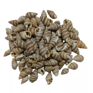 صدف ریز طوسی(30گرم) مدل pkstt06