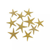 خرید ستاره دریایی ریز