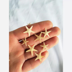 خرید ستاره دریایی ریز