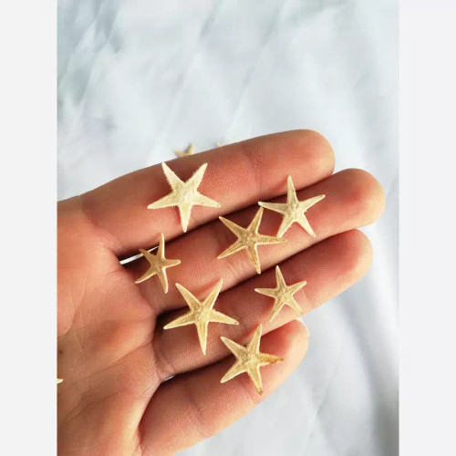 خرید ستاره دریایی ریز