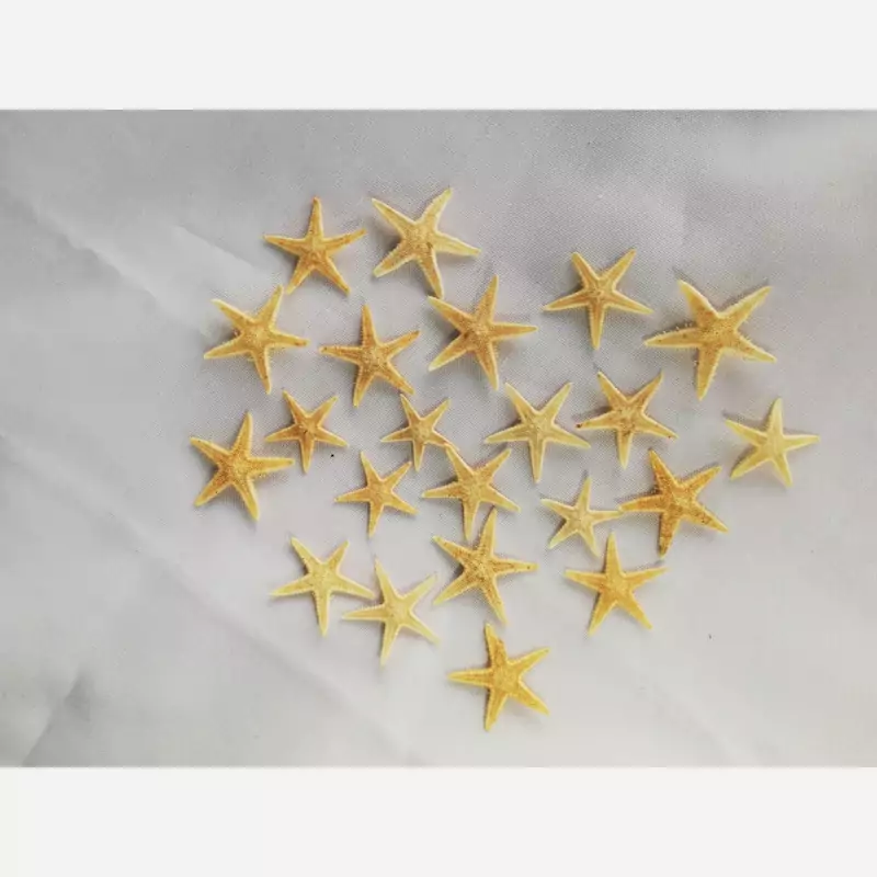 خرید ستاره دریایی ریز