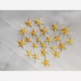 خرید ستاره دریایی ریز