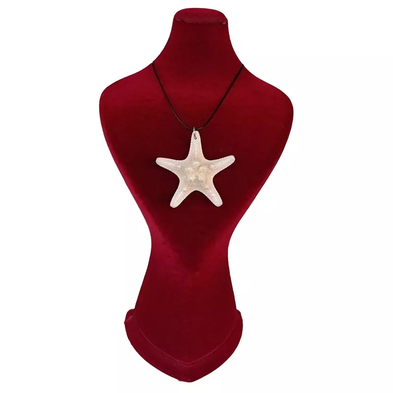 گردنبند ستاره دریایی طبیعی
